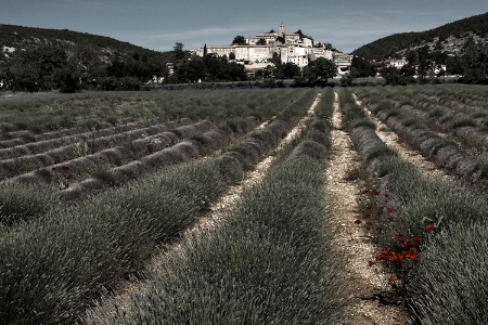 Rambling in Provence