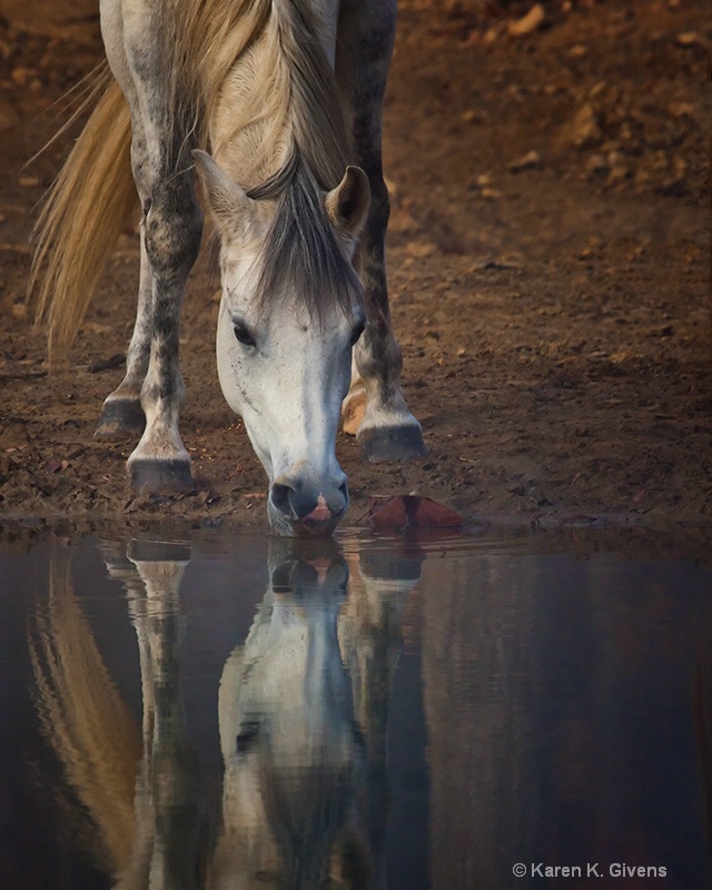 Cool Drink of Water