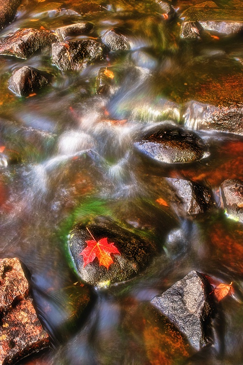 Ragged Stream - ID: 11201979 © Eric Highfield