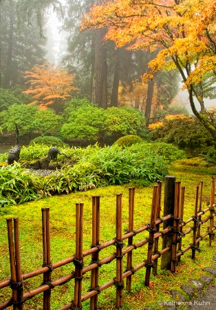 Bamboo Fence