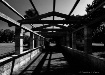 Shades and Light