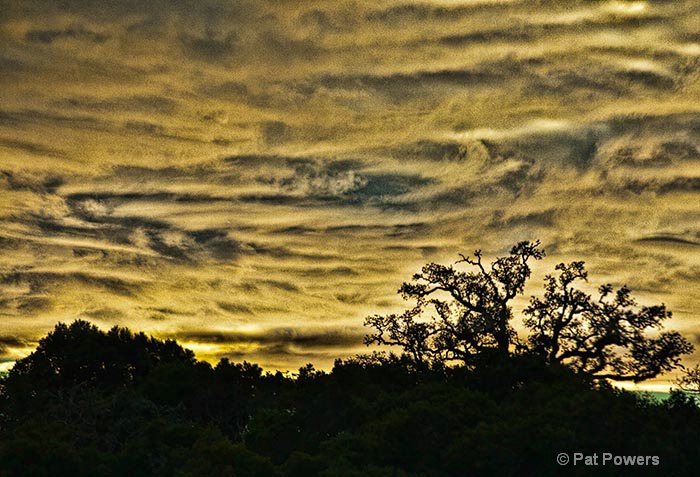 - ID: 11208179 © Pat Powers