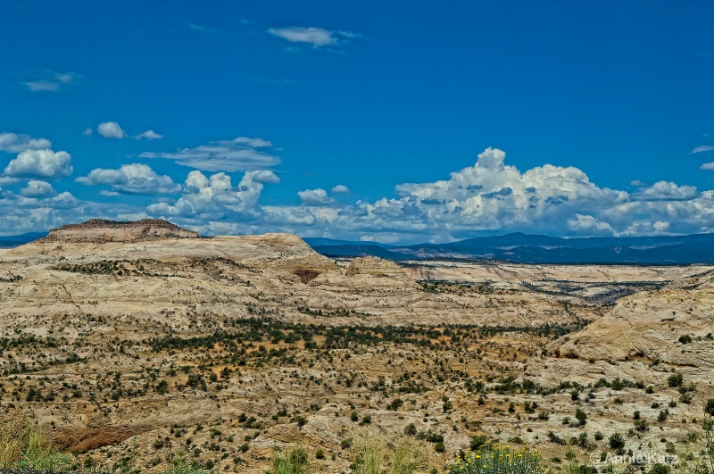 escalante - ID: 11213756 © Annie Katz