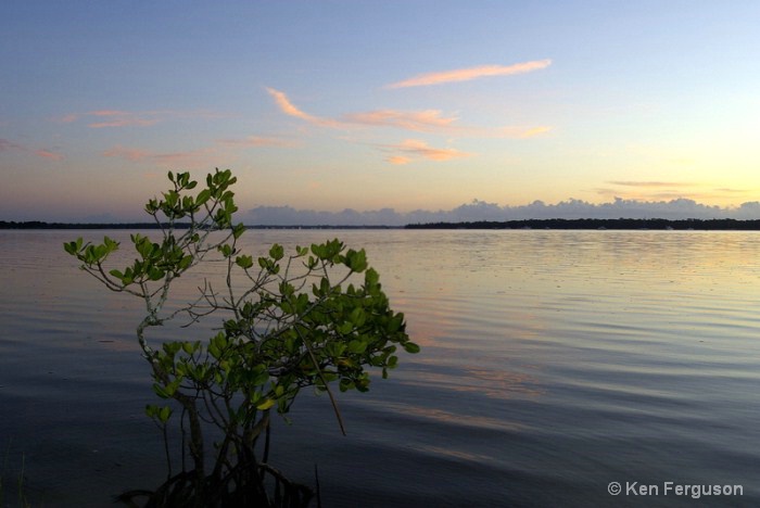 Tin Can Bay Australia sunrise (2)