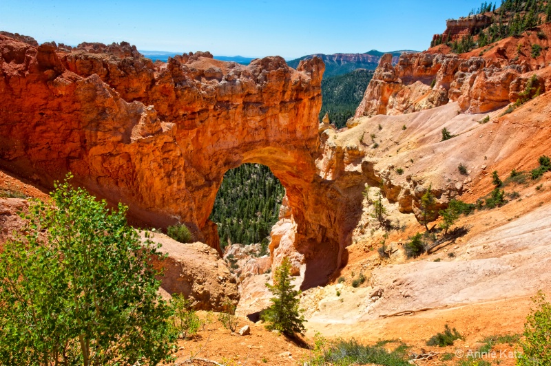 the natural bridge - ID: 11214219 © Annie Katz