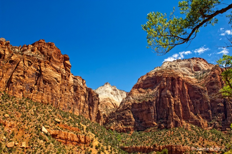 summer in zion - ID: 11214268 © Annie Katz