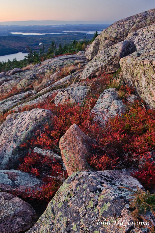 Cadillac Mtn Sunset, Acadia NP