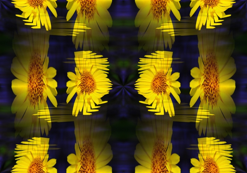 An abstract from a yellow bloom