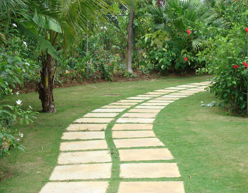  Curved Path