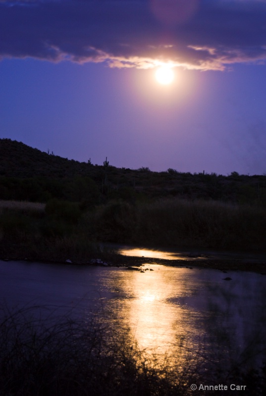 Moon Reflections