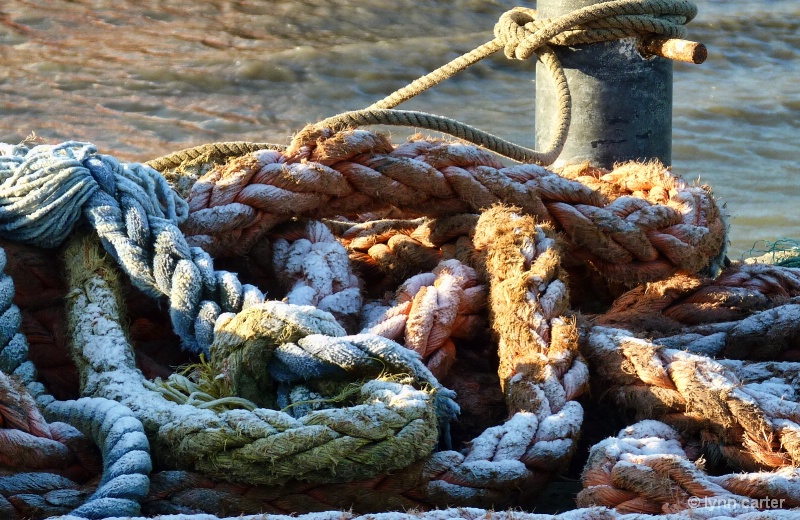  Icy  Rope