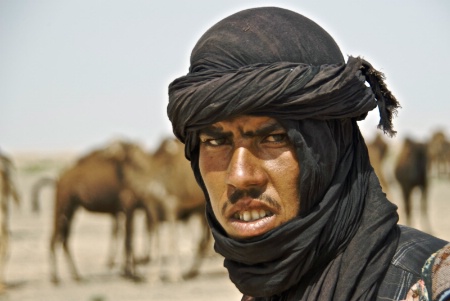 Camel Herder, Sahara