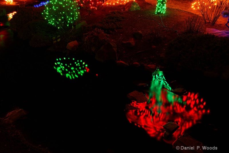 Holiday lights at Denver Botanical Gardens 