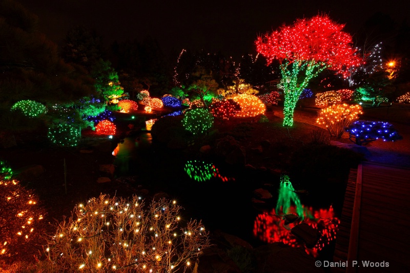 Holiday lights at Denver Botanical Gardens  *