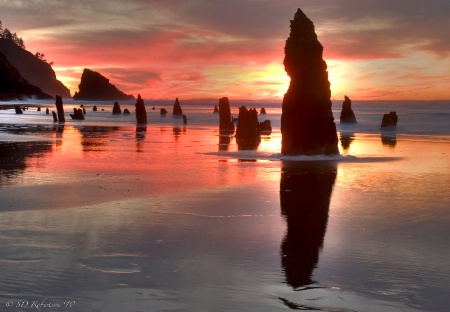 Neskowin, Oregon