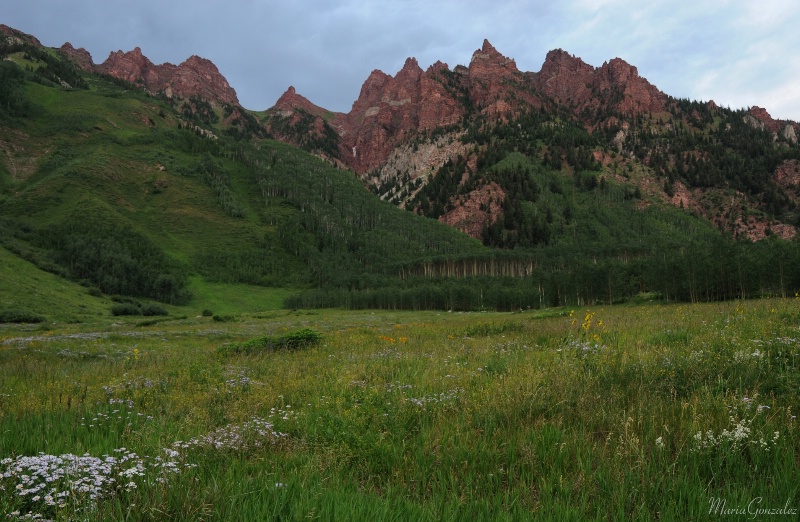 Summer Time In Colorado