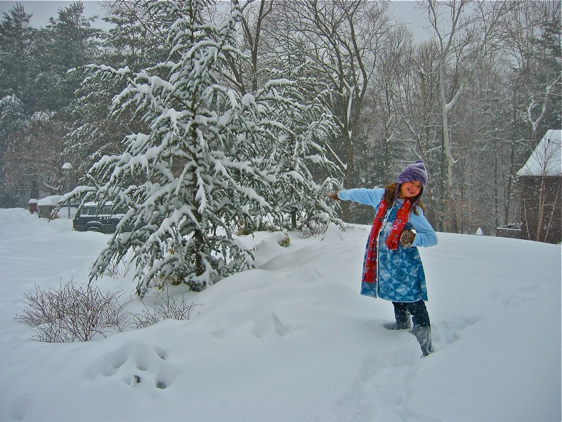 Loving A Snow Day!! - ID: 11234739 © Cynthia M. Wiles