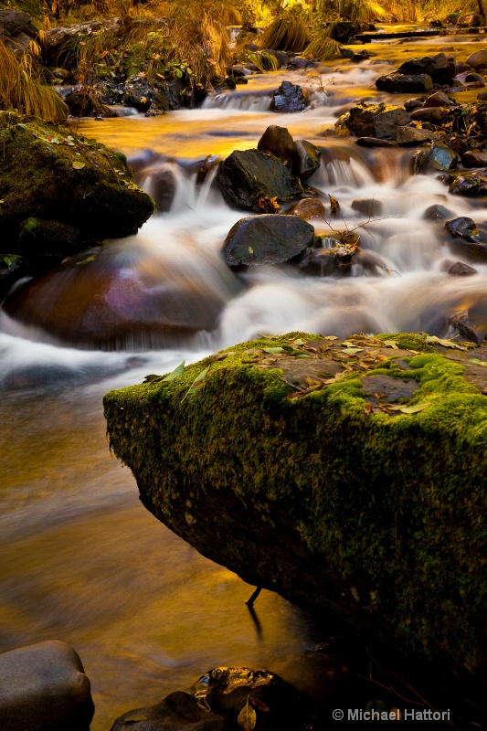 Mokolumne River Dusk