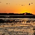 © Loan Tran PhotoID # 11245197: Sunset at Chincoteague