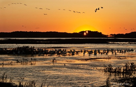 Sunset at Chincoteague