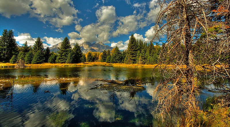 Morning Teton Shot