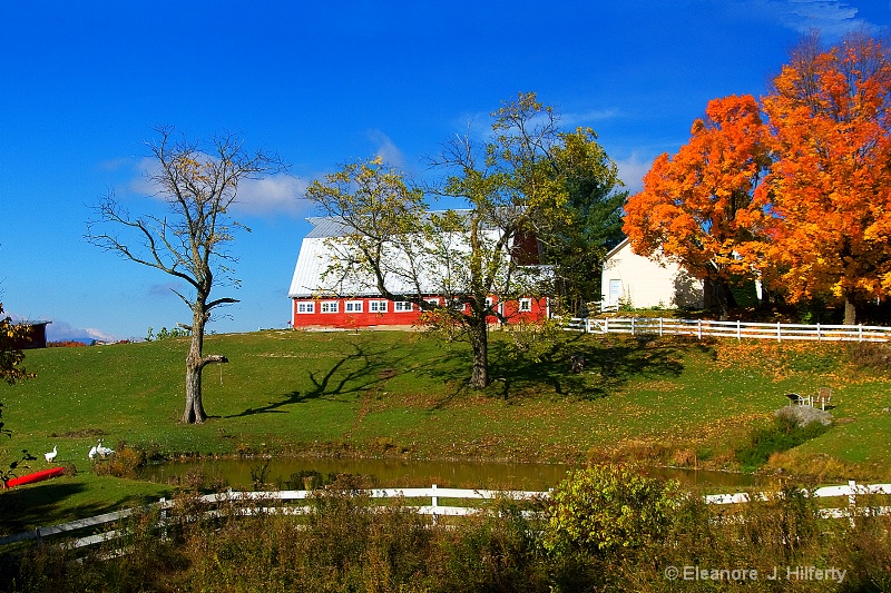 Farm in Moretown, Vermont 3 - ID: 11259990 © Eleanore J. Hilferty