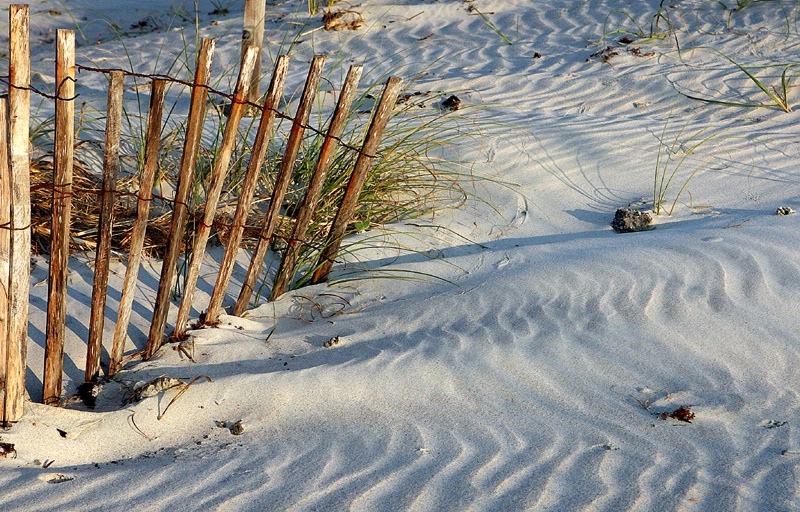 Beach Lines