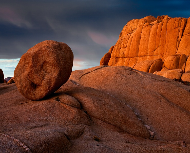 Joshua Tree NP