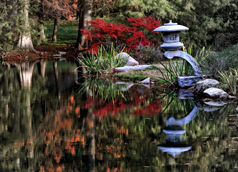 Japanese Reflections