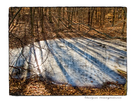 Hill Shadows