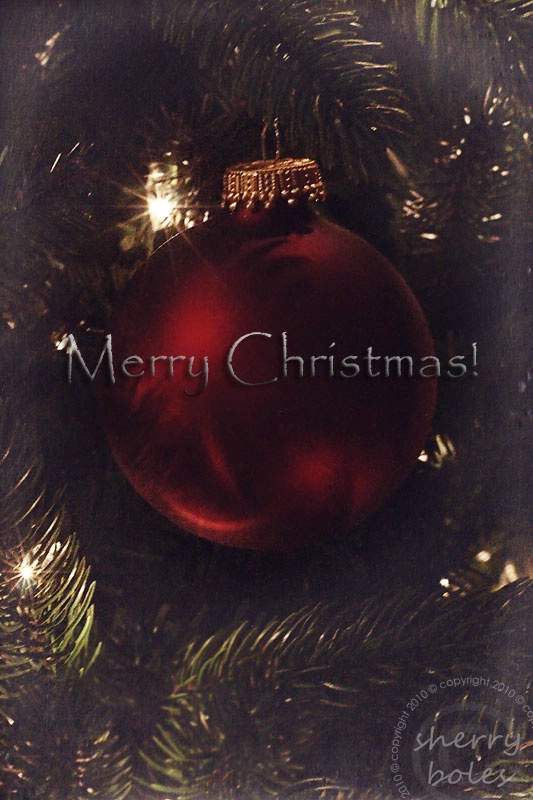 Christmas wishes