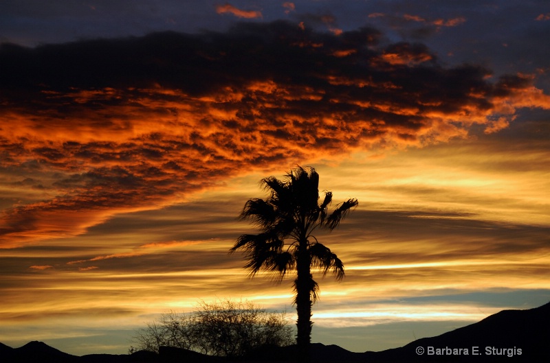 Arizona Sunrise