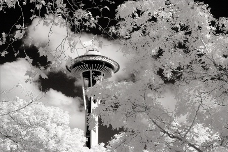 Seattle Space Needle in Infrared