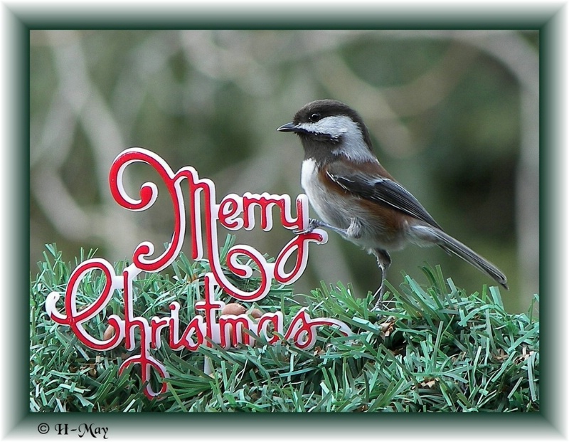 Traditional words ~ Merry Christmas to all 