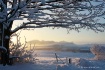 Winter Wonderland...
