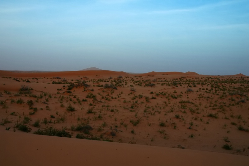 Desert sand in Saudi Arabia