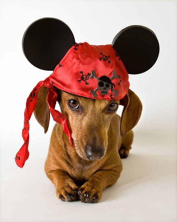 Minnie Pirate