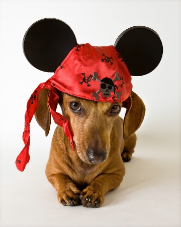 Minnie Pirate