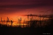 ... at sunset !