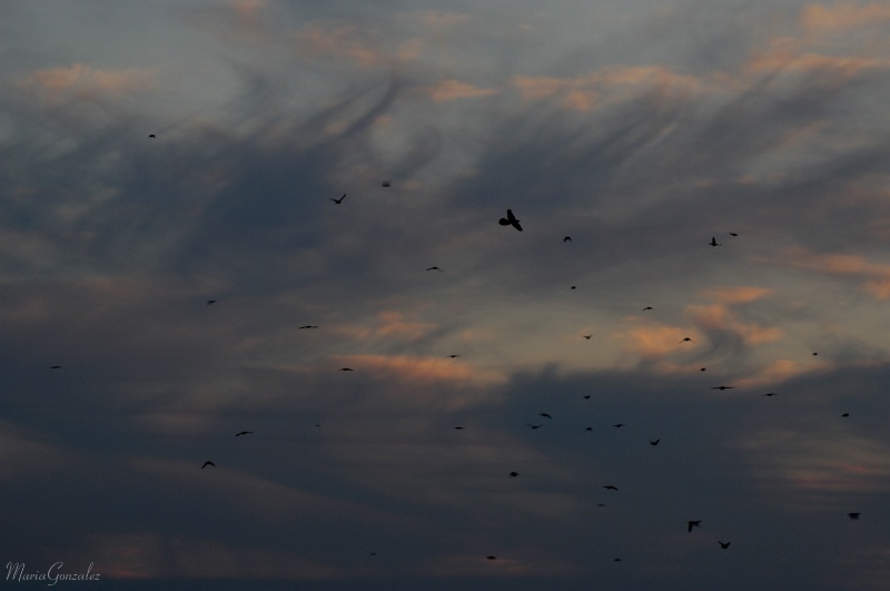 Expect  Busy Skies Today