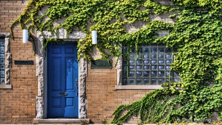 Blue Door and Ivy