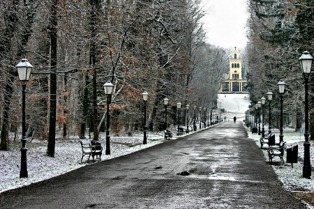 Maksimir in Winter