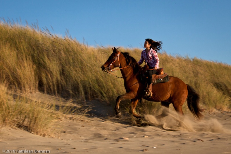 Beach Ride