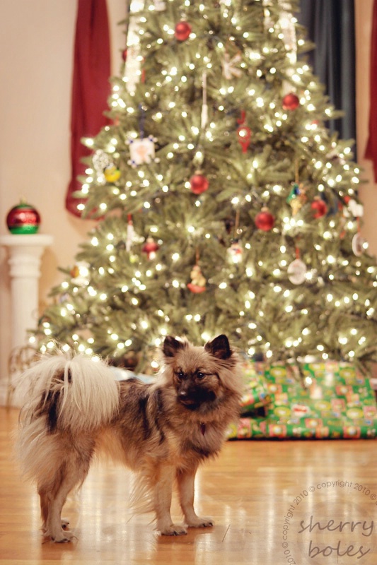 First Christmas