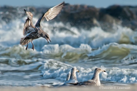 Drama at Sea