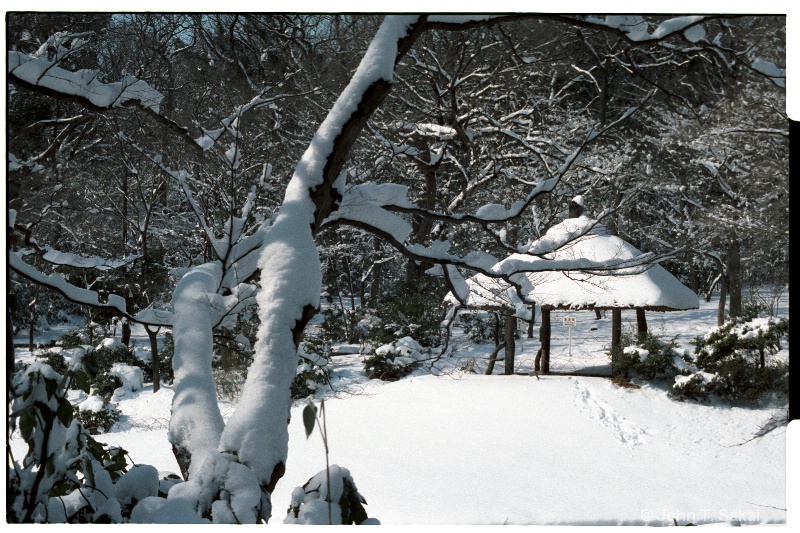 Snowy Grounds - ID: 11290184 © John T. Sakai