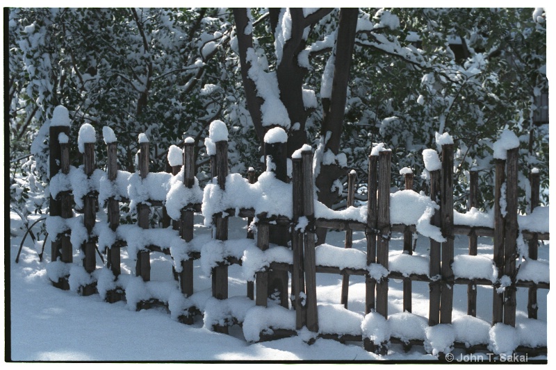 Snowy Fence - ID: 11290187 © John T. Sakai