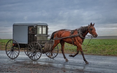 Riding In Style