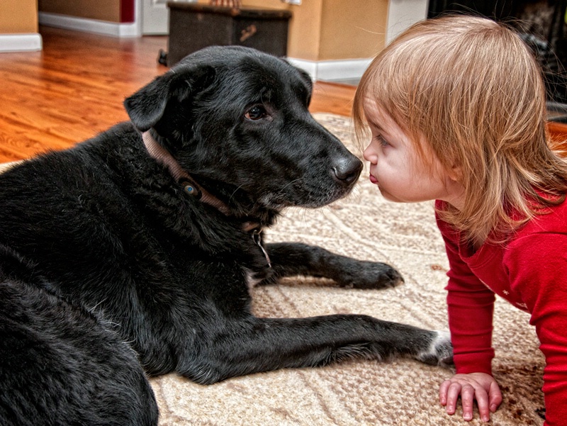 Give the Doggie a Kiss