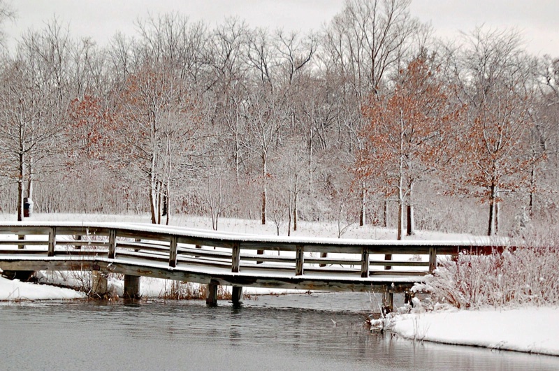 ~Bridge in Winter~